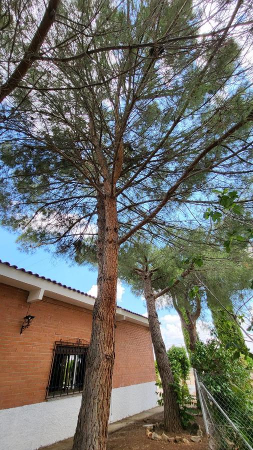 Hostal San Martín de Montalbán Exteriér fotografie
