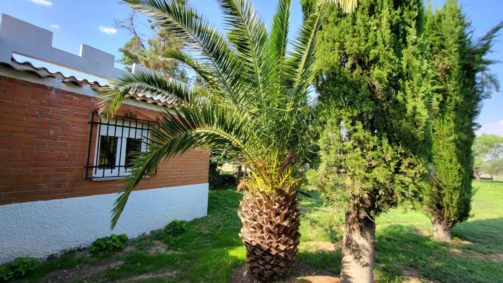 Hostal San Martín de Montalbán Exteriér fotografie